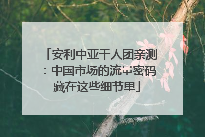 安利中亚千人团亲测：中国市场的流量密码 藏在这些细节里